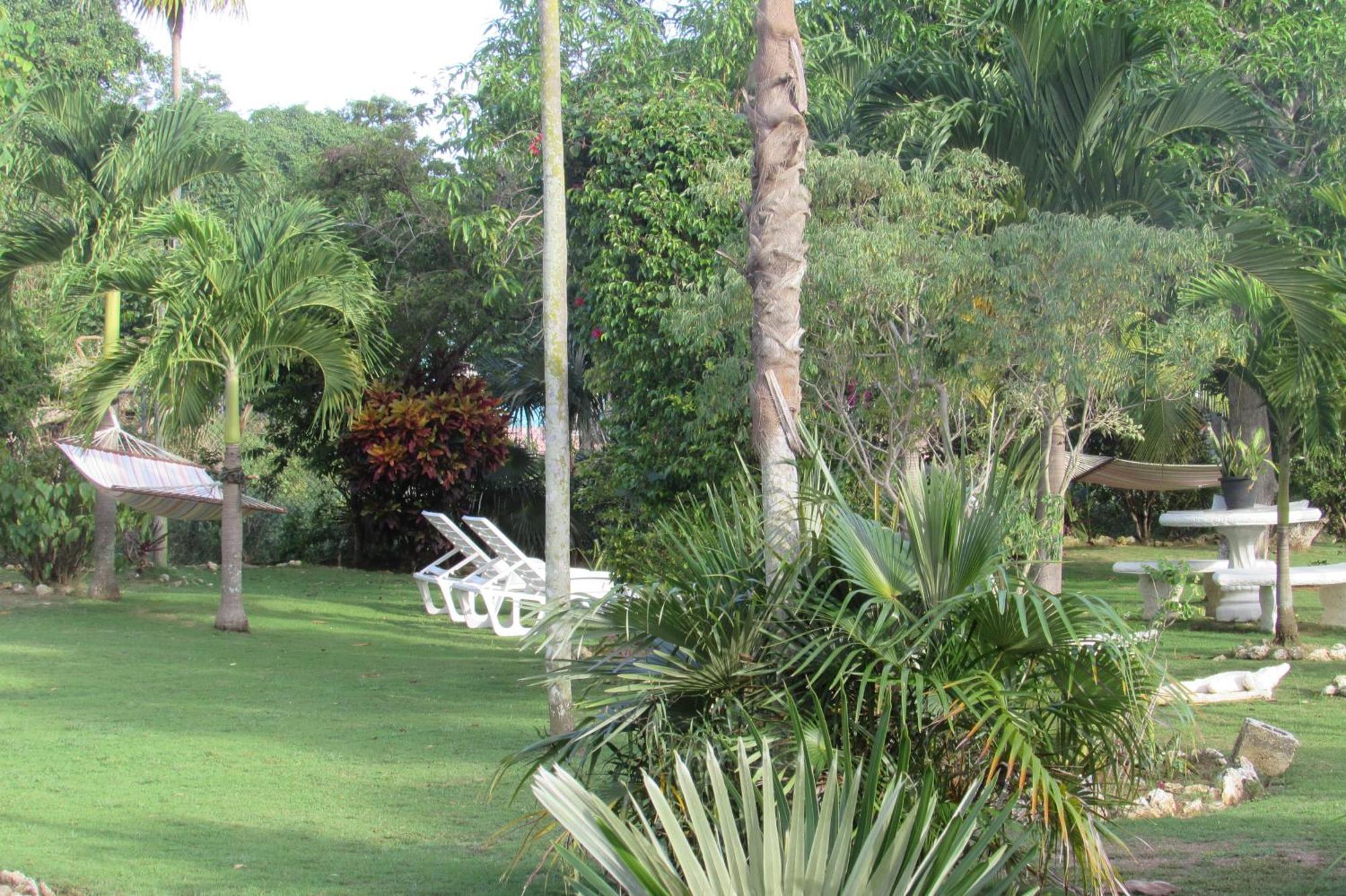 Nelsons Retreat Casa de hóspedes