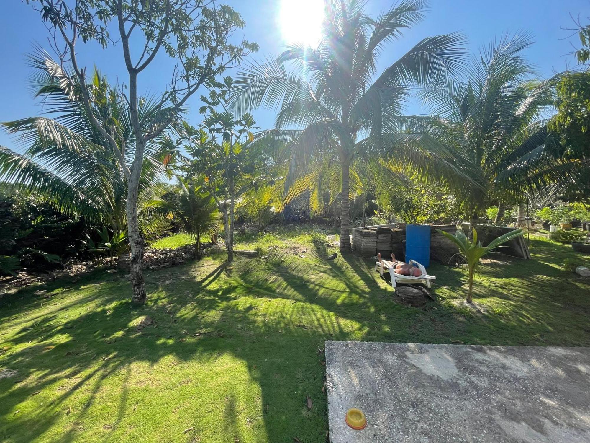 R&v Negril