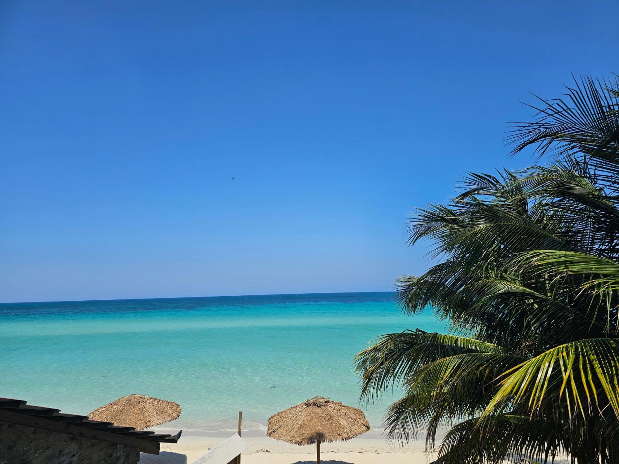 Hotel Roots Cafe Negril