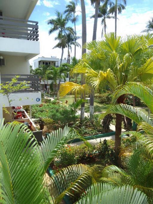 Apartment 2 Bdr On 7 Mile At Club Negril