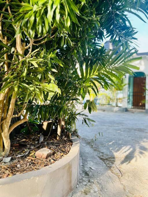 With Fully Equipped Kitchen In * Negril