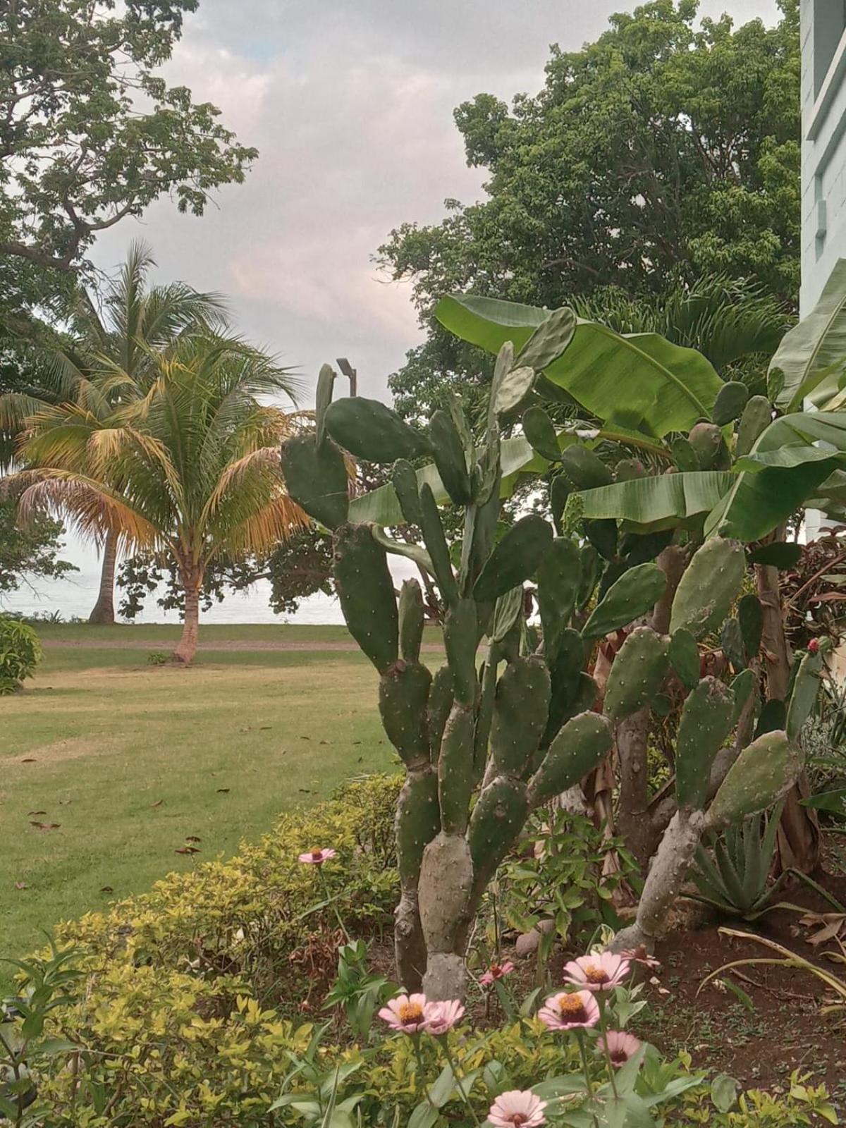 Casa Mire-lee, Seaside Serenity At 7 Miles Beach, Point Village * Negril