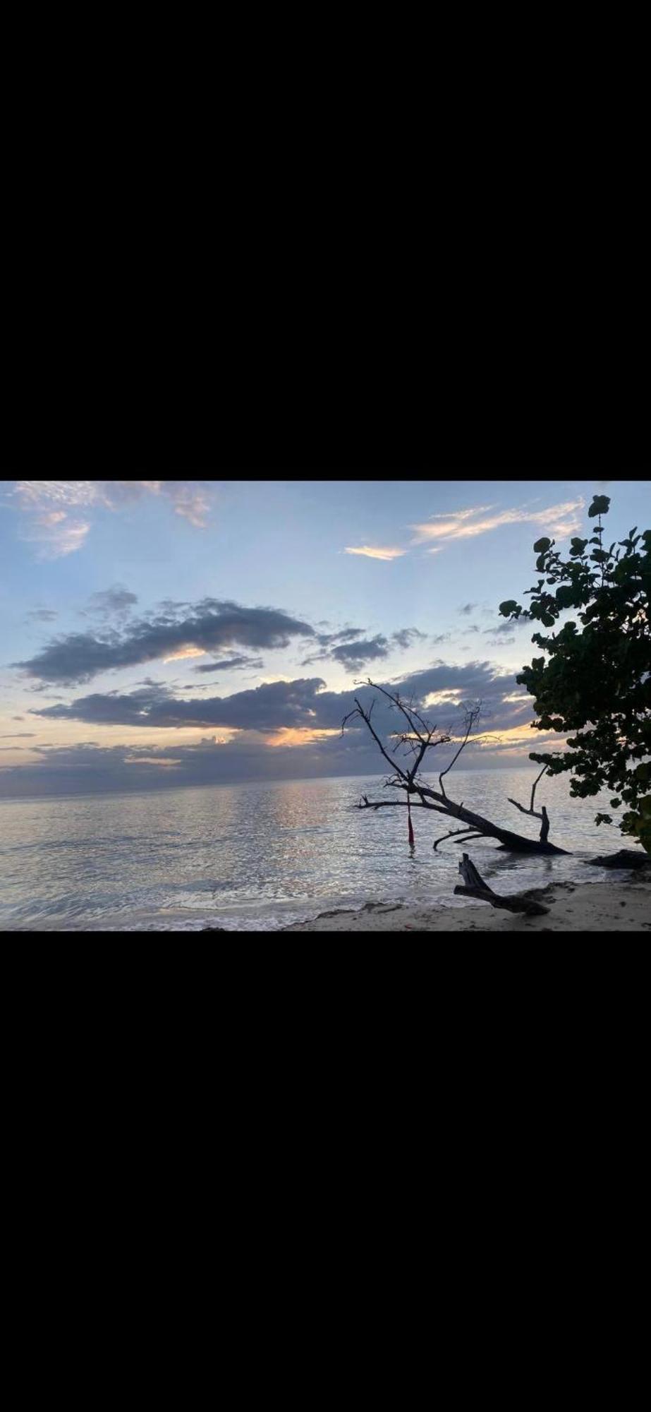 Williams Manor Negril