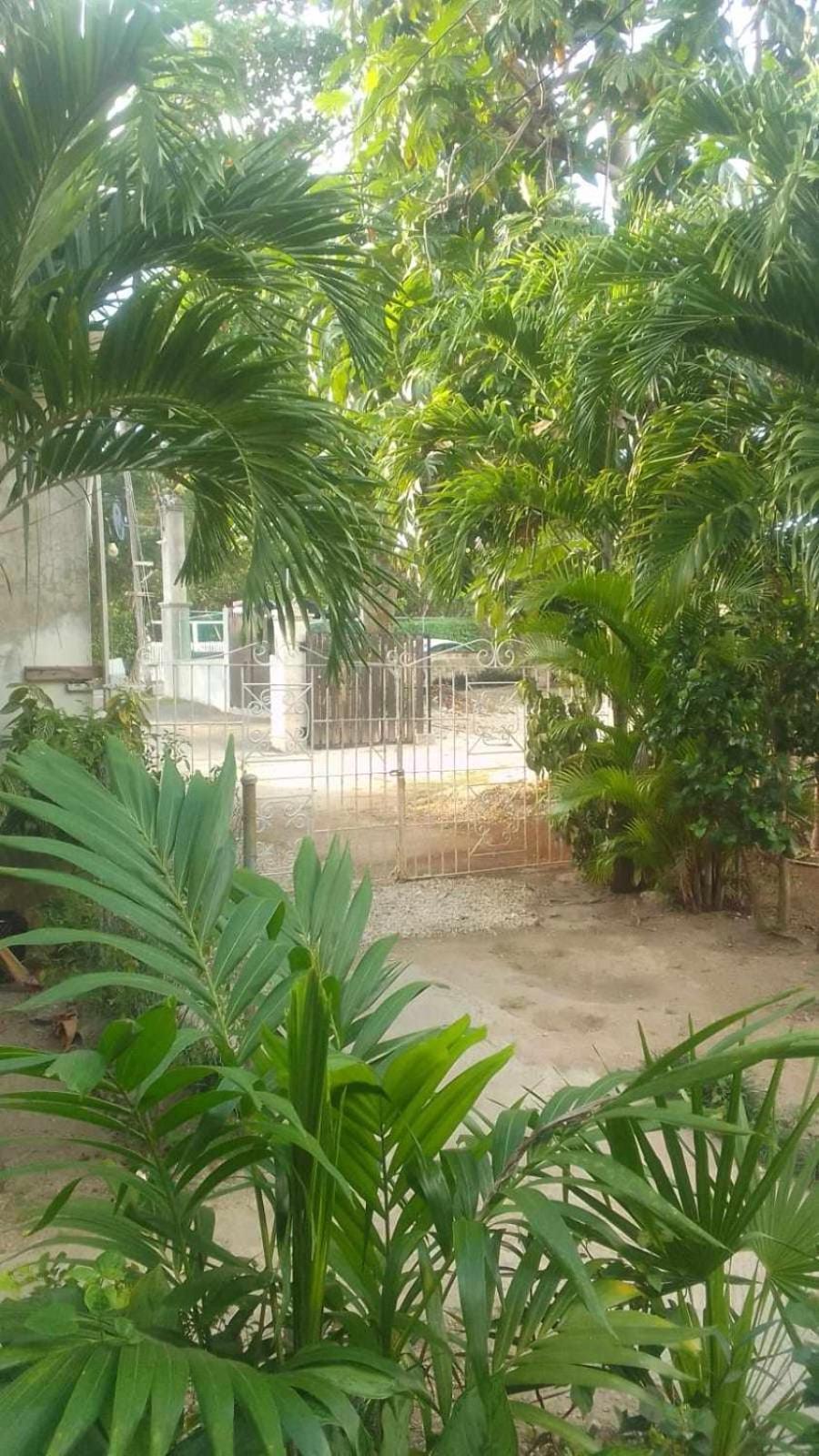 T&t - Tatty And Tony Apartment Negril