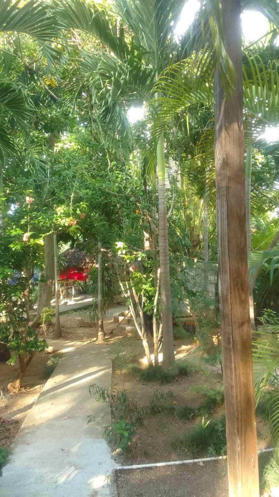 Apartment T&t - Tatty And Tony Negril