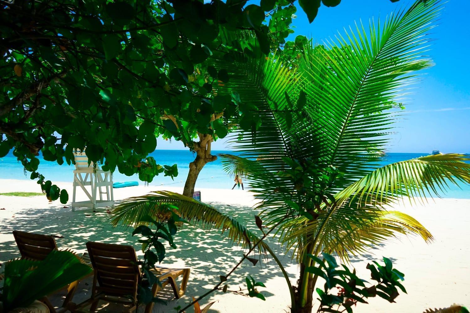 Ayurveda Resort Negril