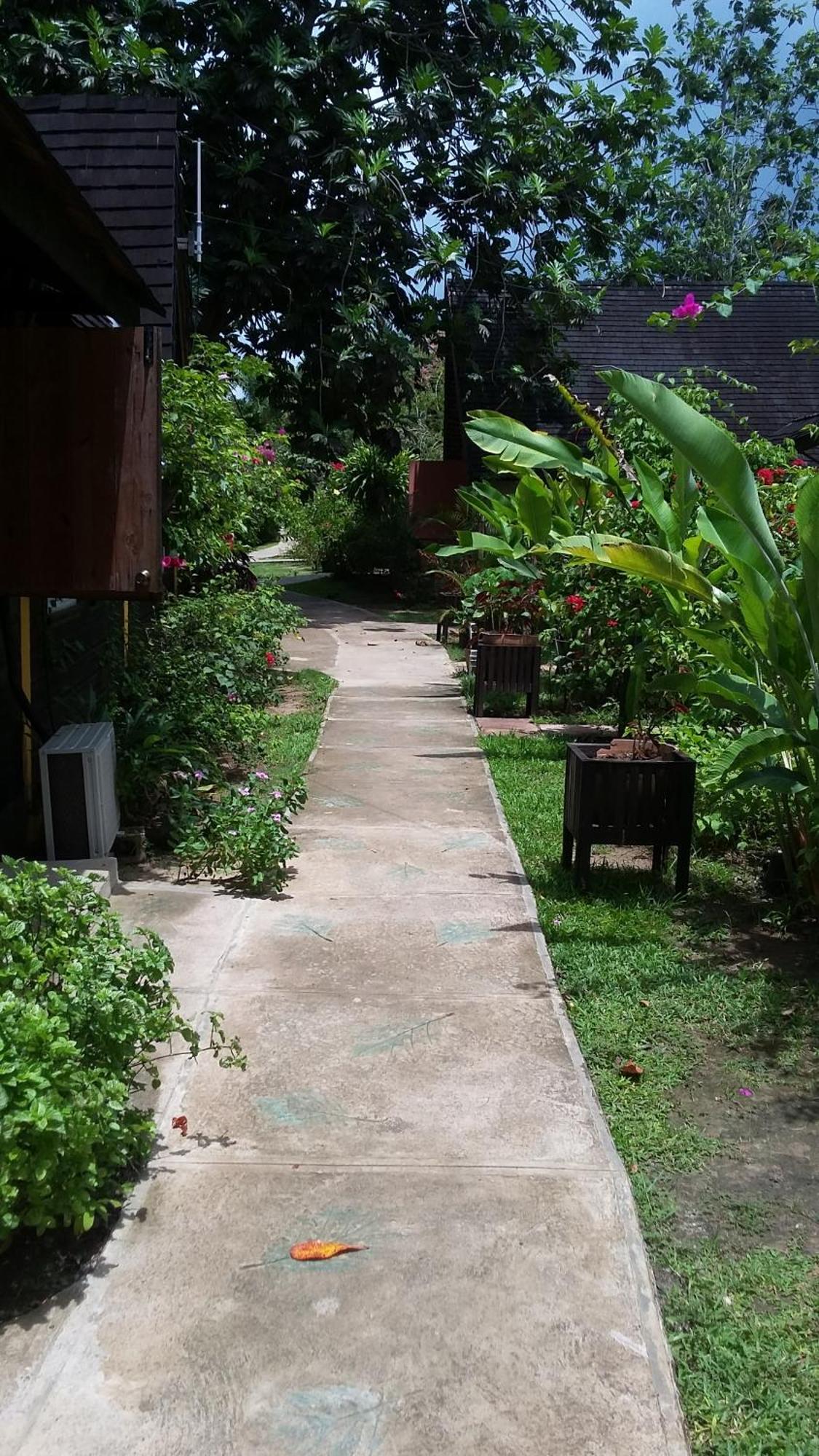 Firefly Negril