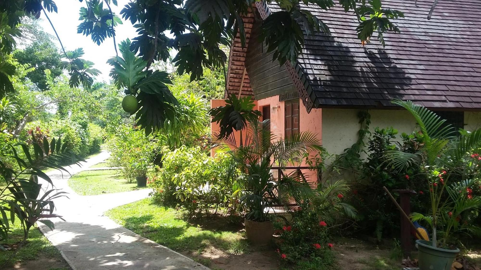 Firefly 4* Negril