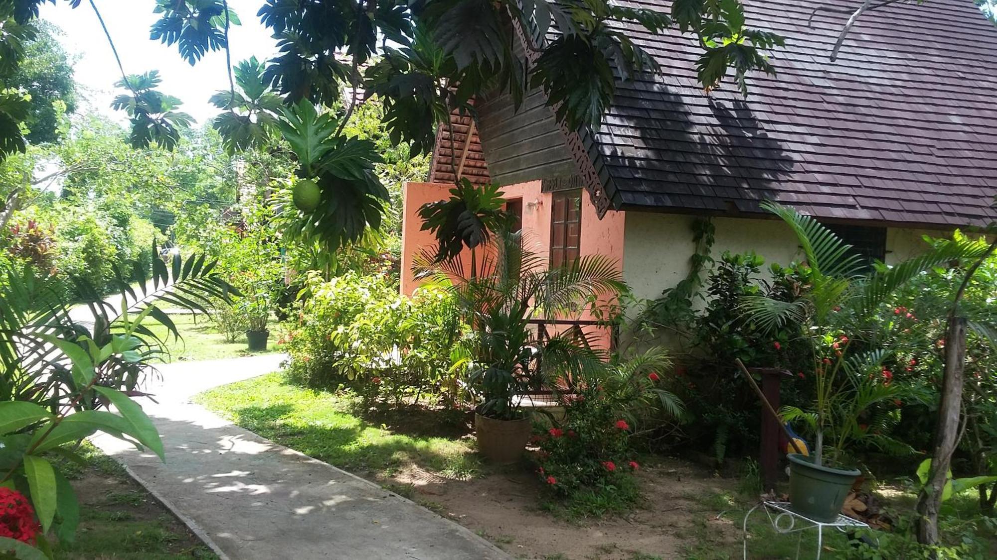 Hotel Firefly