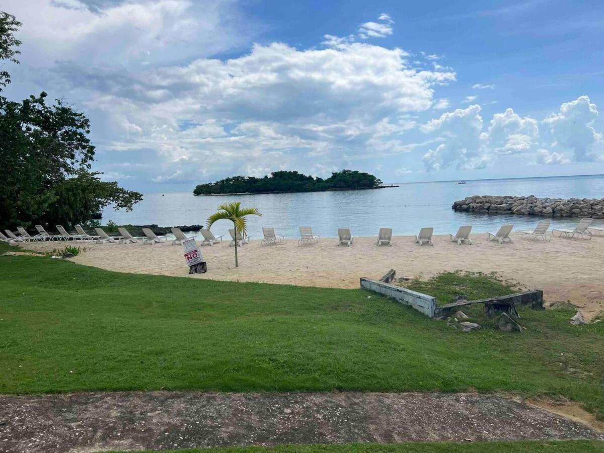 The Blue Haven -oceanfront With Pool Access Apartment *