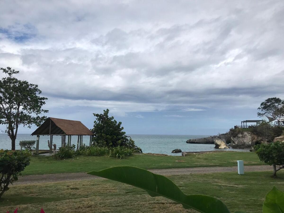 Apartment The Blue Haven -oceanfront With Pool Access Negril