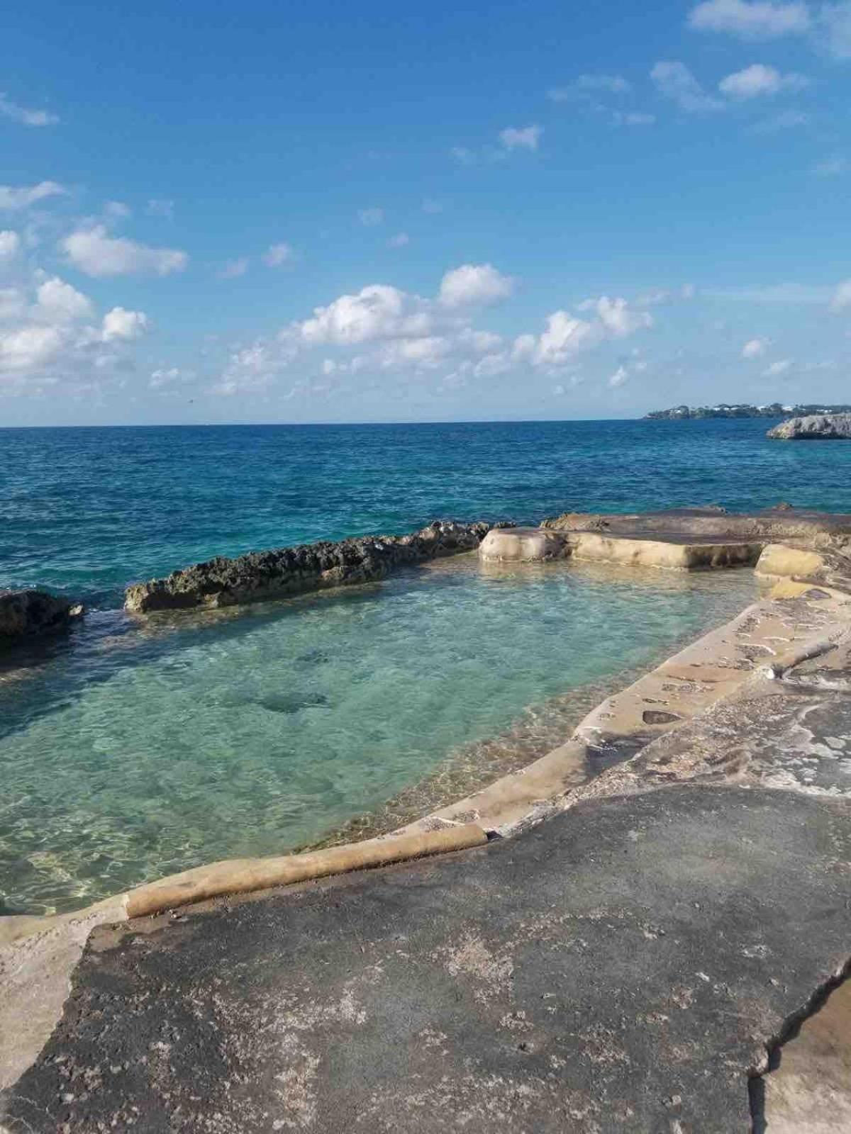 Apartment The Blue Haven -oceanfront With Pool Access *