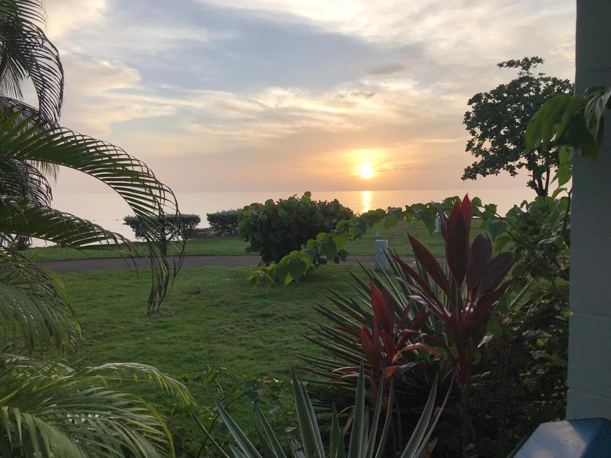 The Blue Haven -oceanfront With Pool Access *