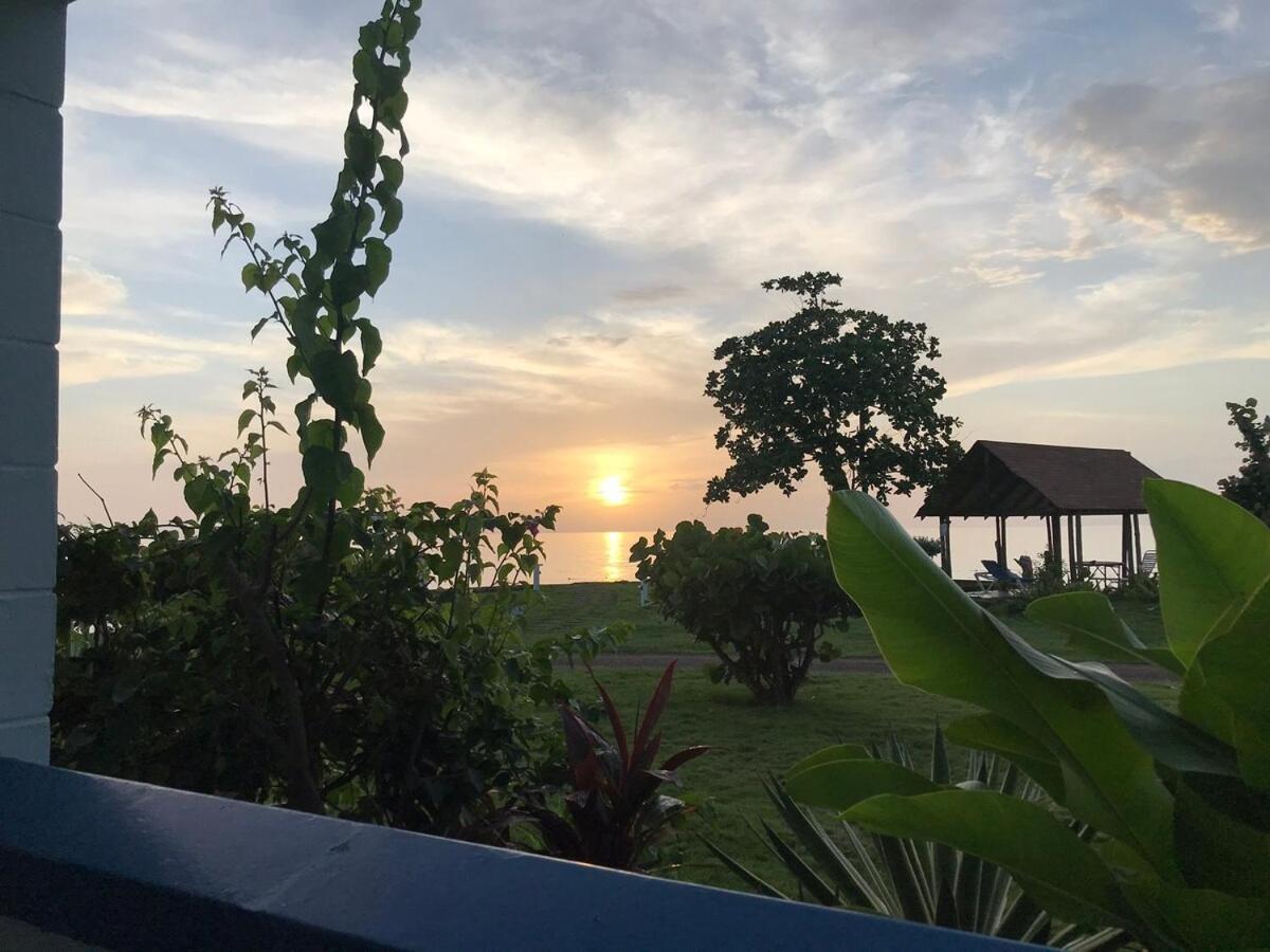 The Blue Haven -oceanfront With Pool Access