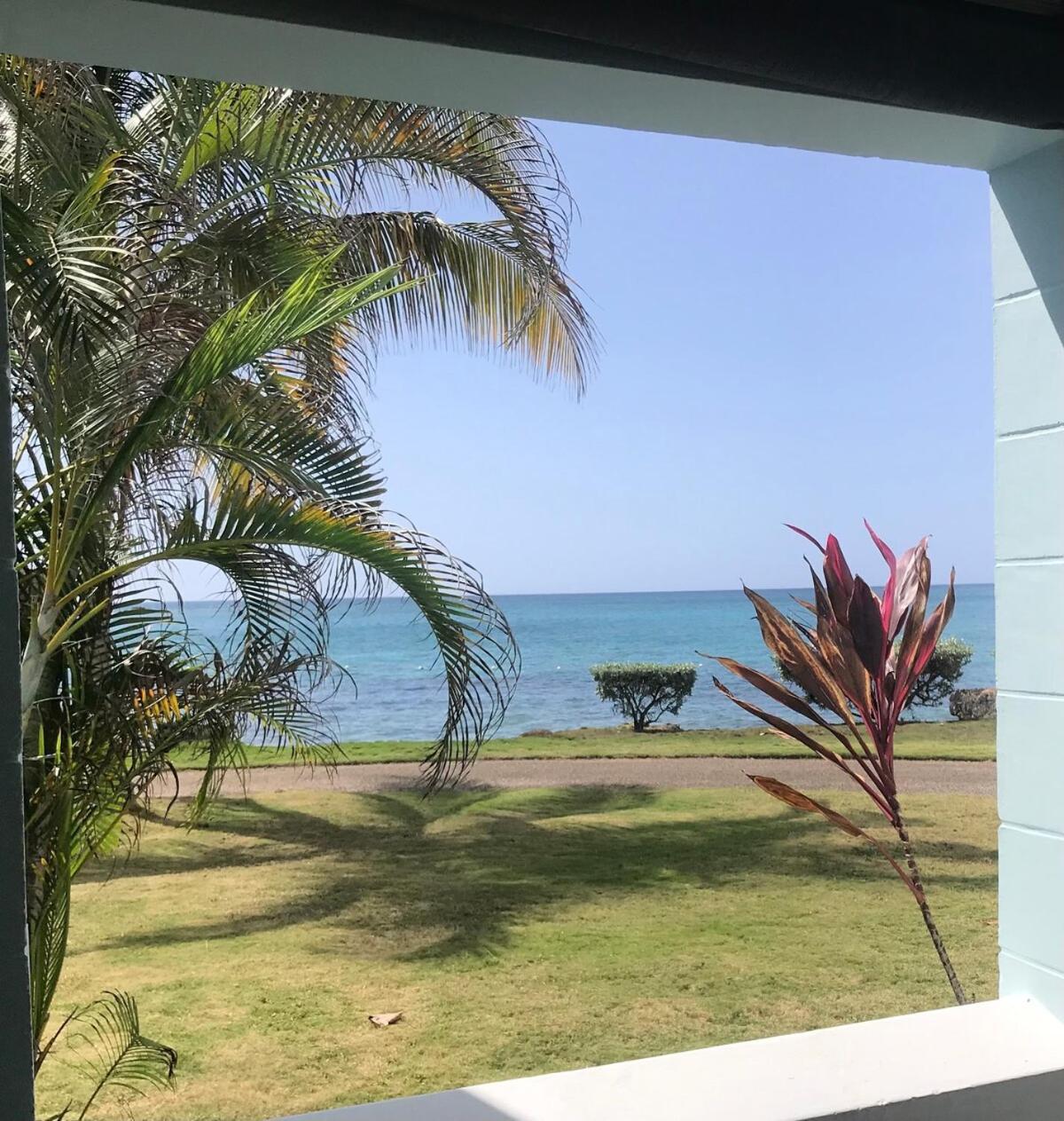 The Blue Haven -oceanfront With Pool Access * Negril