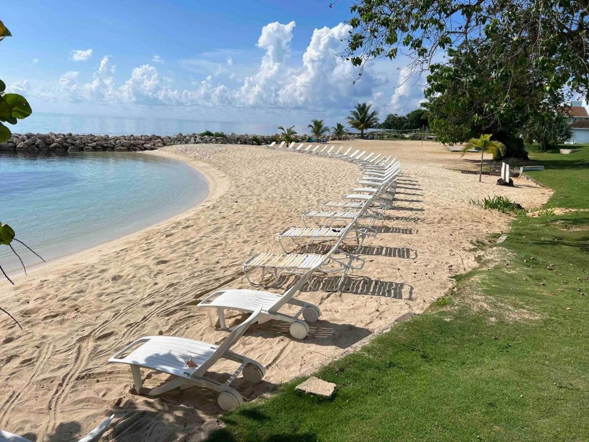 Apartment The Blue Haven -oceanfront With Pool Access