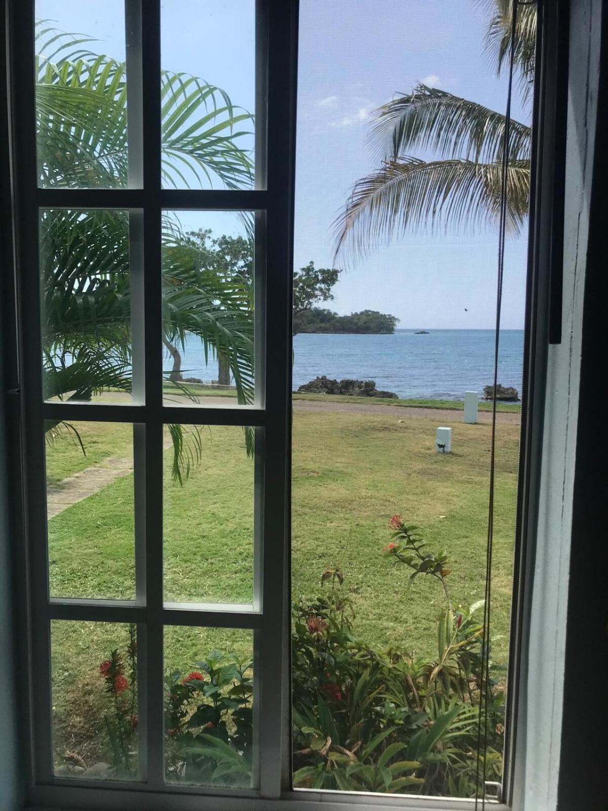 Apartment The Blue Haven -oceanfront With Pool Access Negril