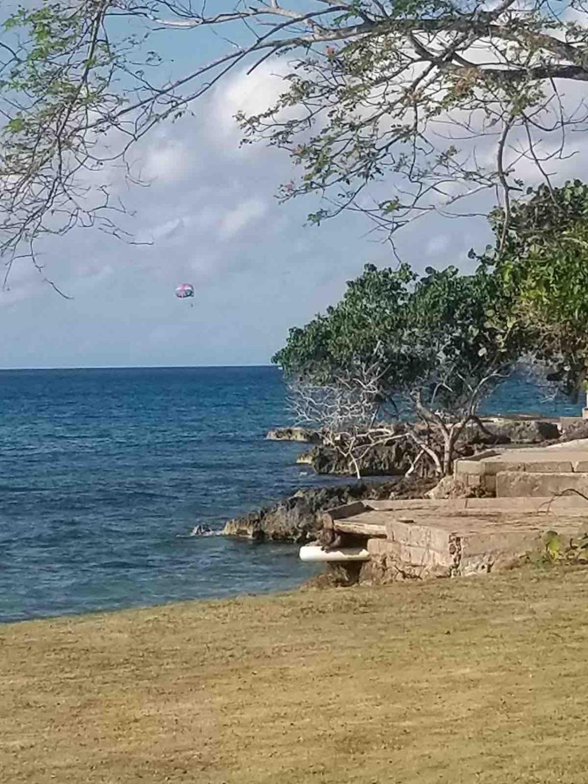 Apartment The Blue Haven -oceanfront With Pool Access Negril