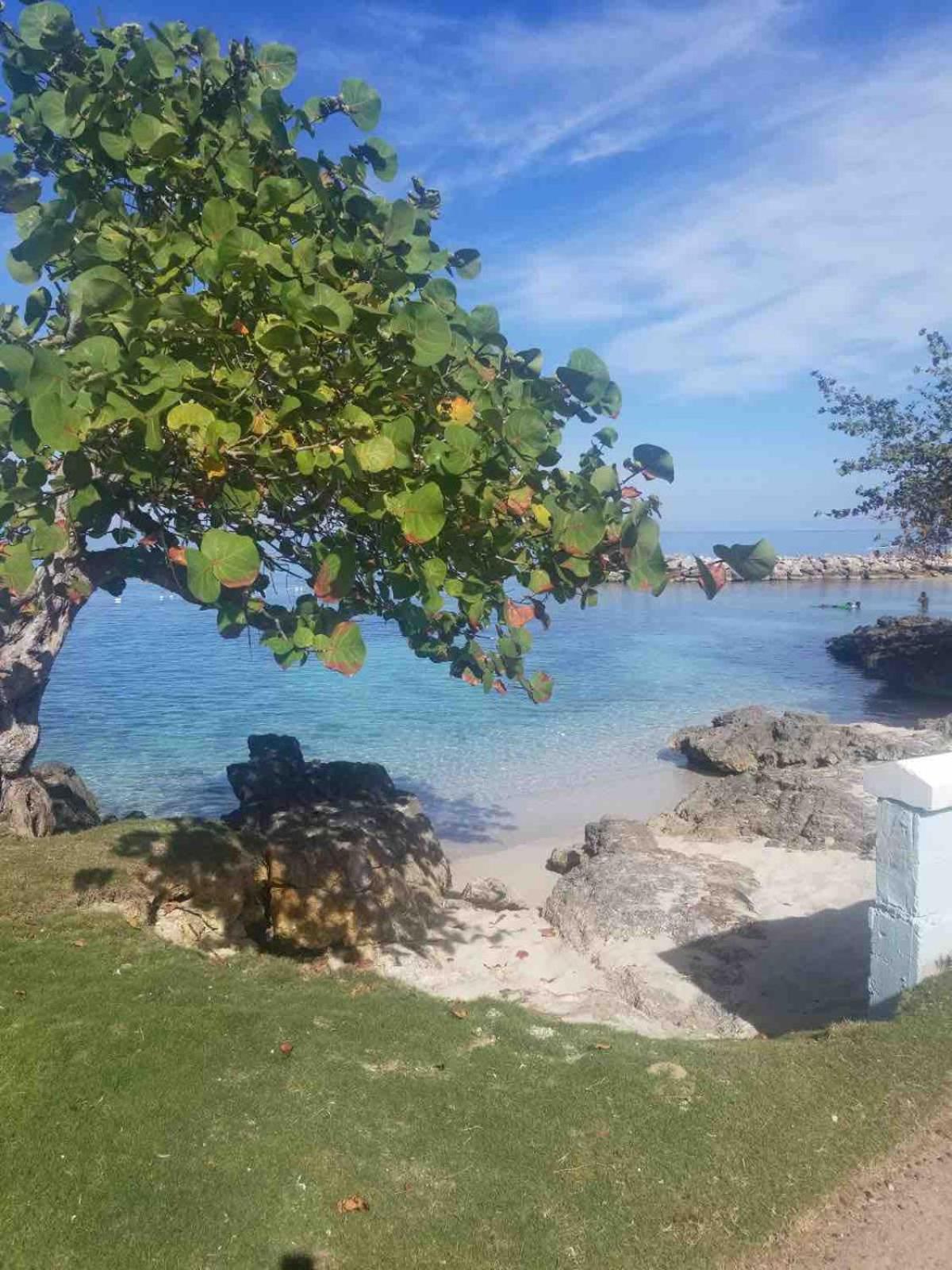 The Blue Haven -oceanfront With Pool Access