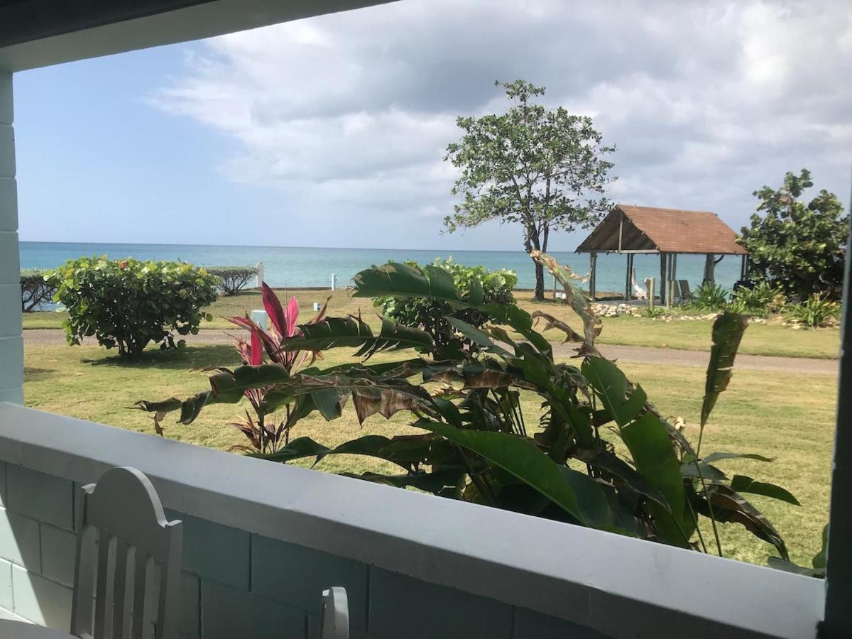 Apartment The Blue Haven -oceanfront With Pool Access *