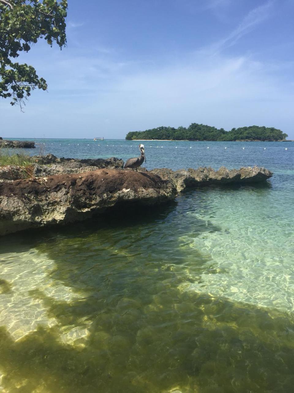 1 Bed Ocean View * Negril