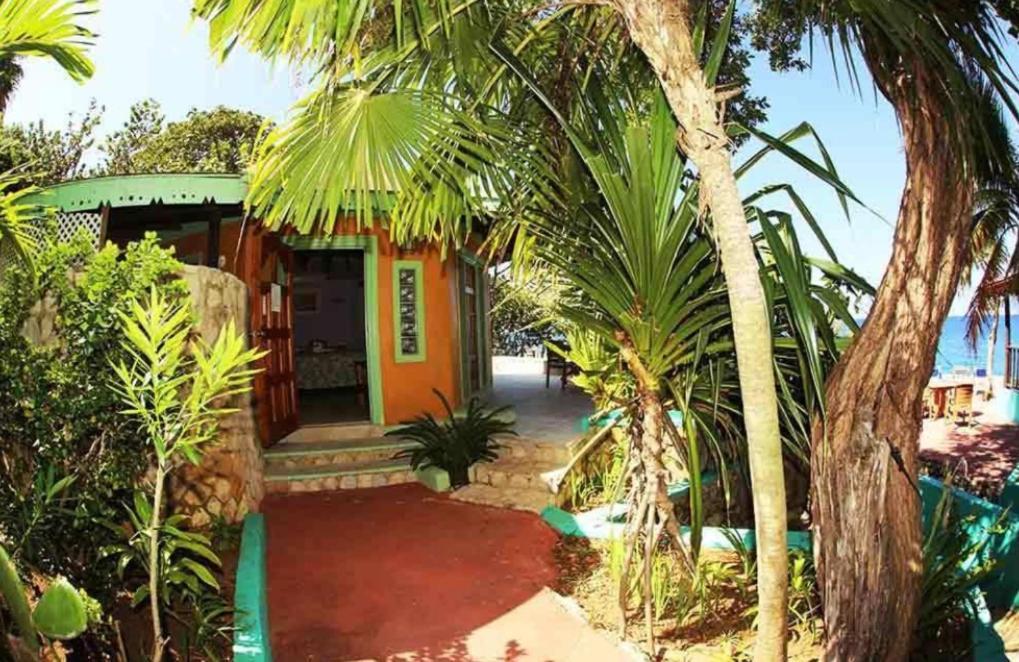 Clifftop Haven - Oceanfront With Pool Camp Dining