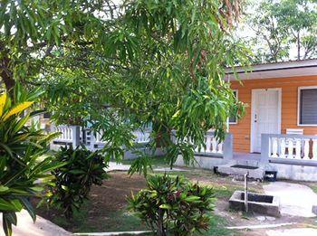 Hotel Roots Bamboo 2*