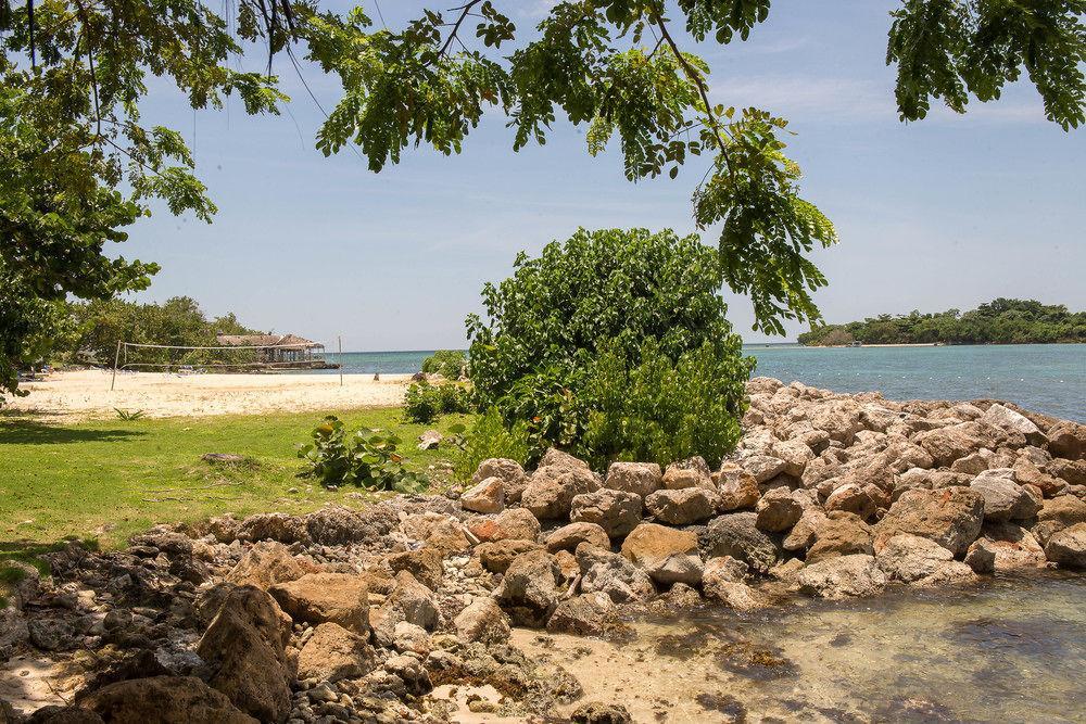 Sea Breeze -