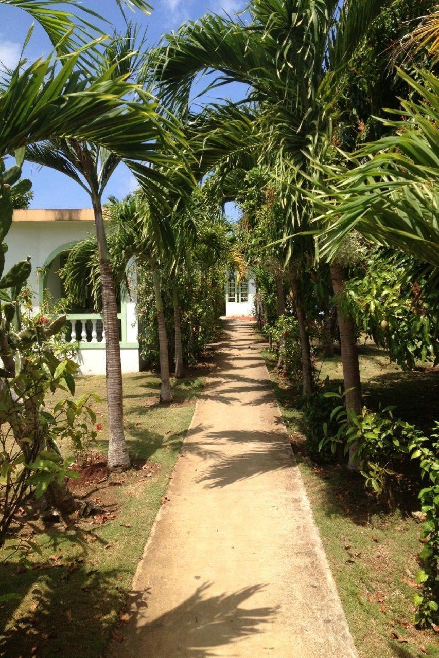 Hidden Paradise Negril
