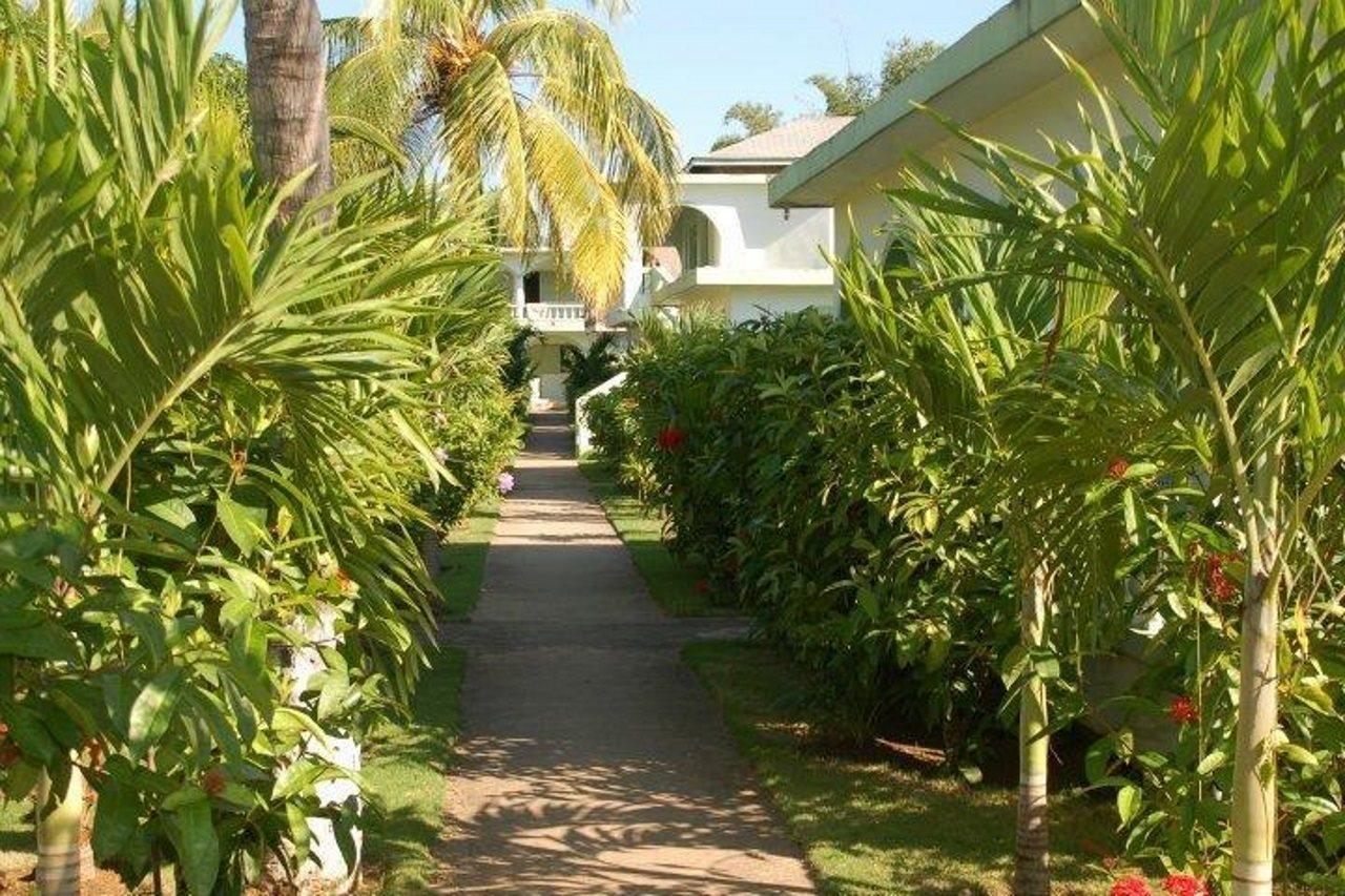 Hidden Paradise