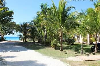 Zanzi Beach 3* Negril