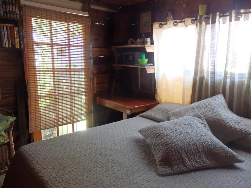 Judy House And Hostel Negril