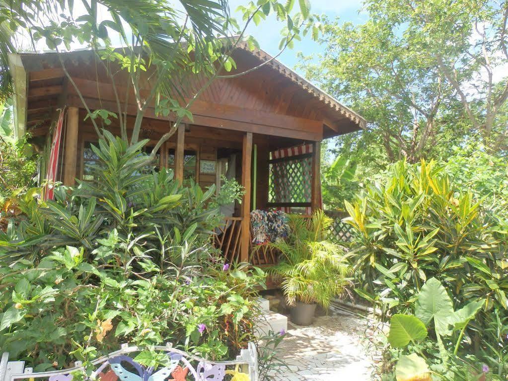 Judy House And * Negril