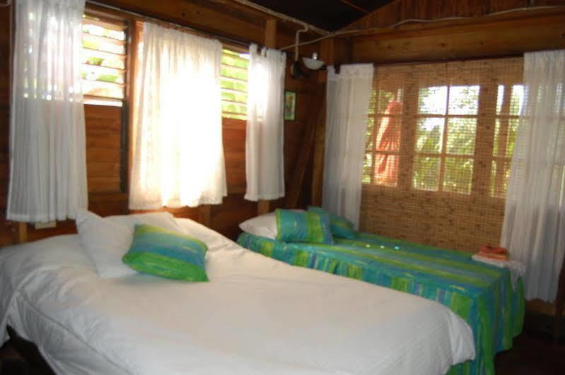 Judy House Cottages And Rooms Hostel Negril