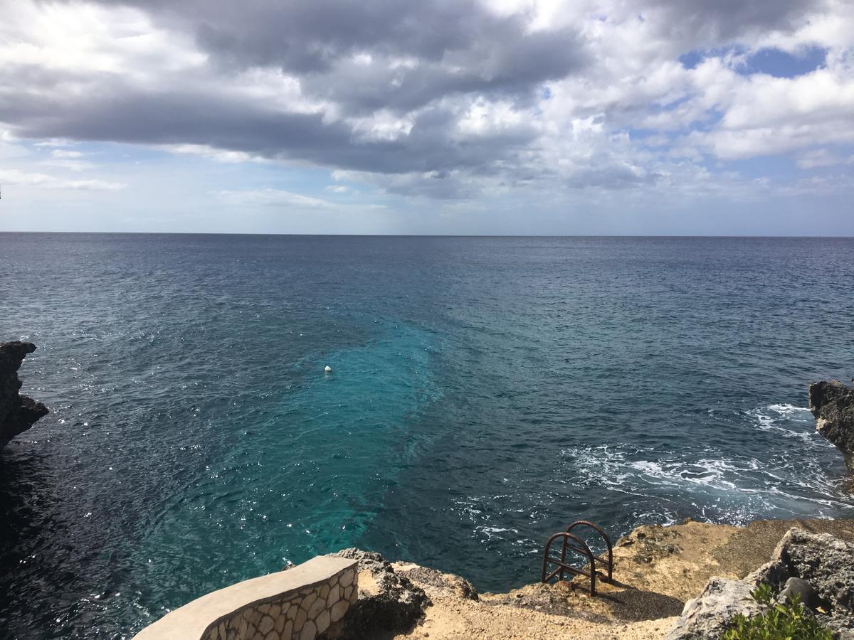 Coral Seas Cliff Negril