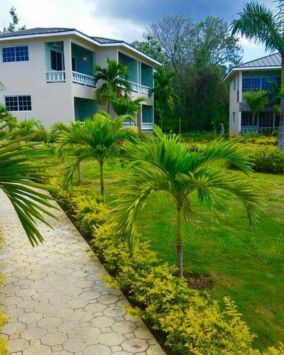 The Sov Negril