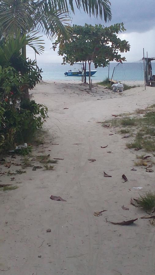 Drifters@one Mile Albergue Negril