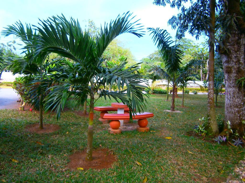 Hotel Coral Seas Garden