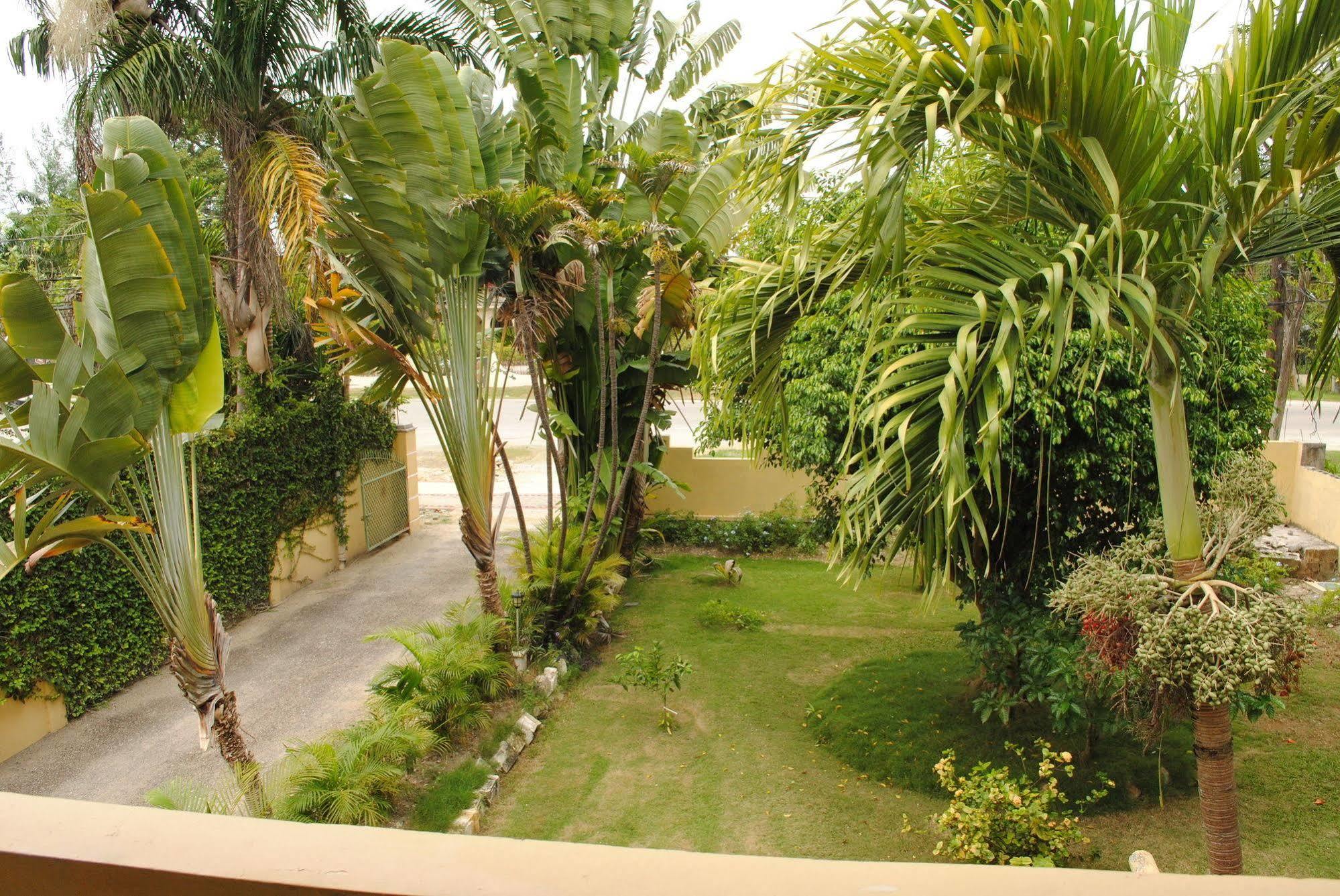 Moonrisevillas Apartment Negril