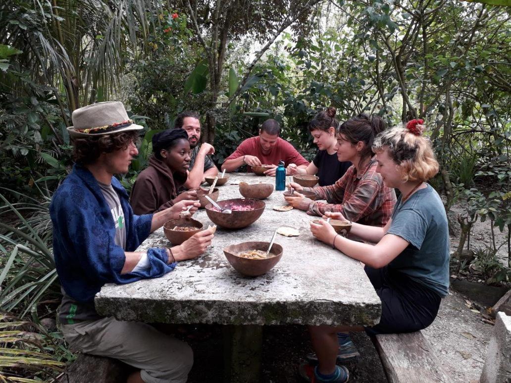 Rastafari Herbal Gardens Hostel