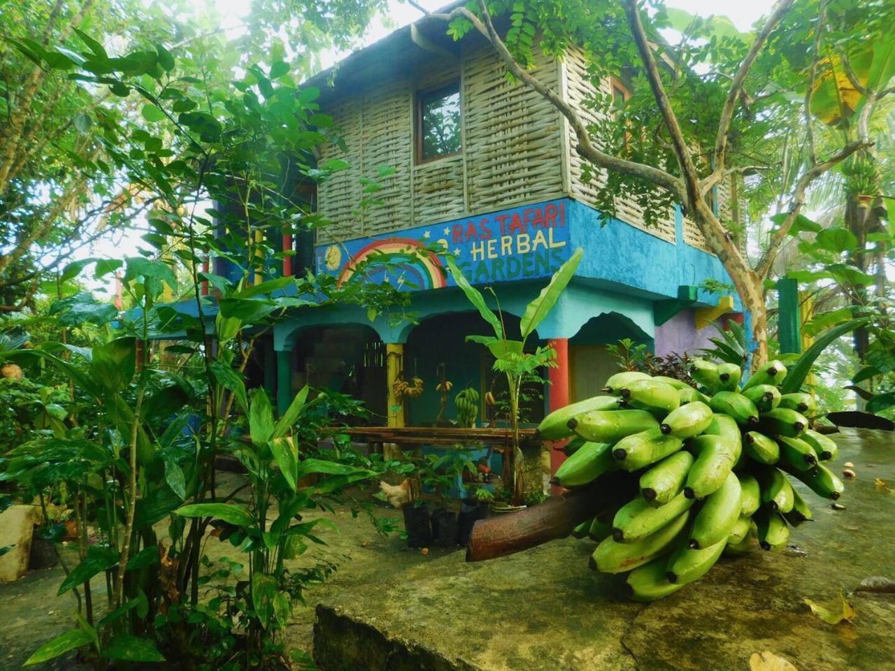 Rastafari Herbal Gardens * Negril