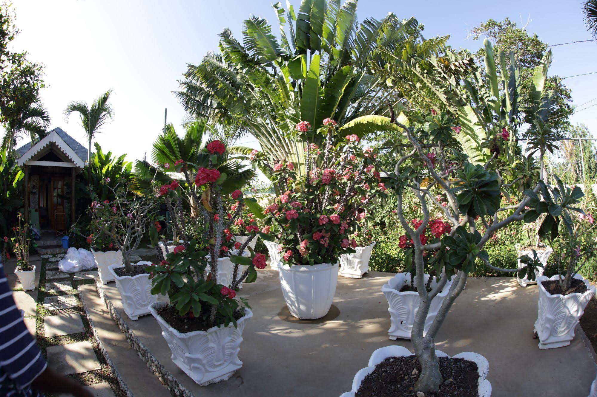 Palms Hotel 3*