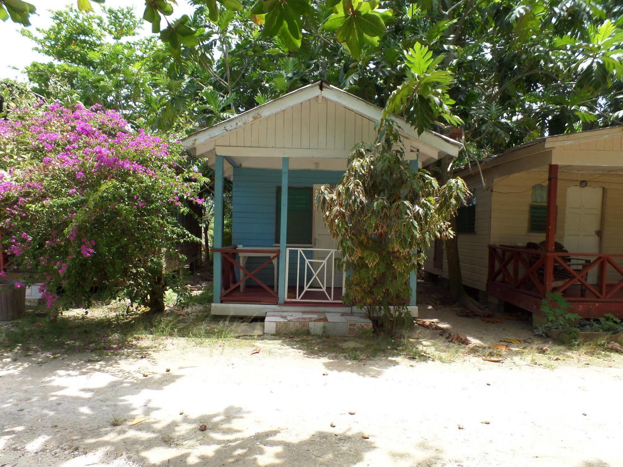 Road At Jah Bs