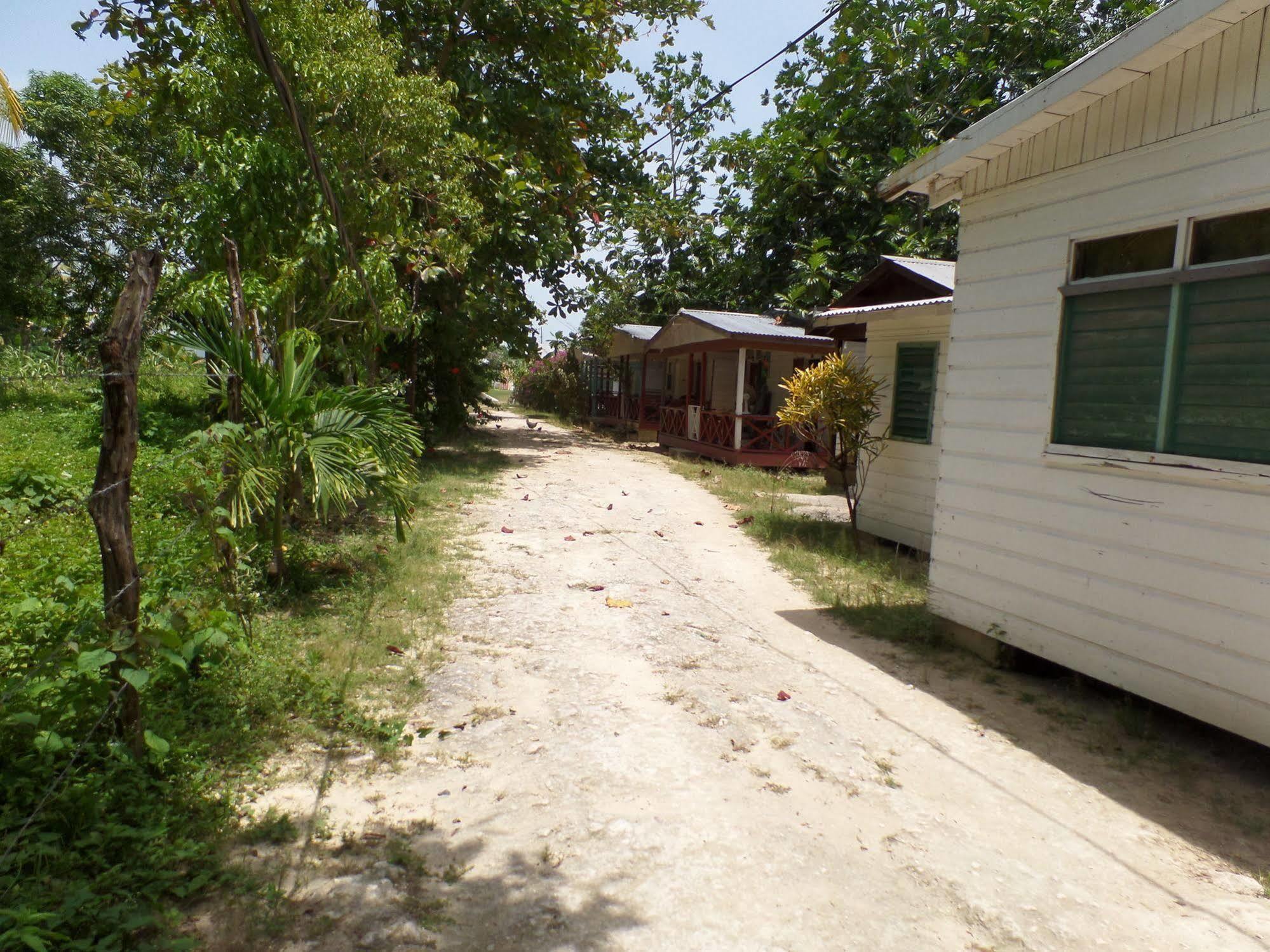 Hotel Road At Jah Bs Negril