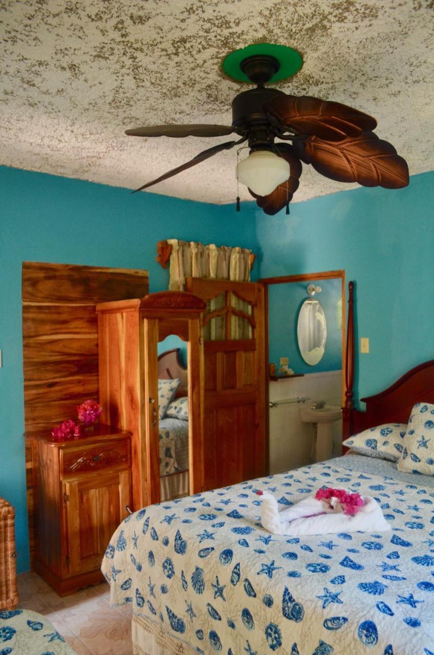 Coral Jamaica *