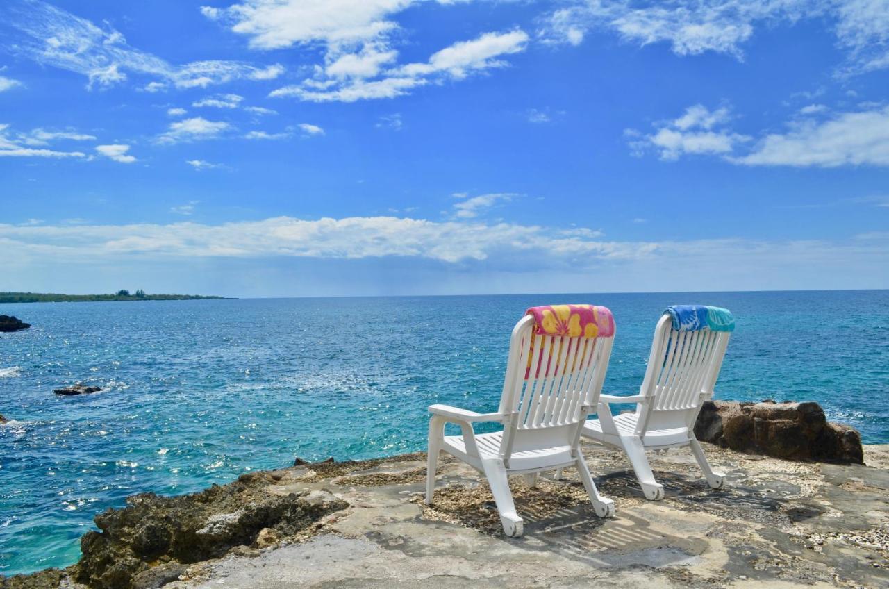 Coral Jamaica