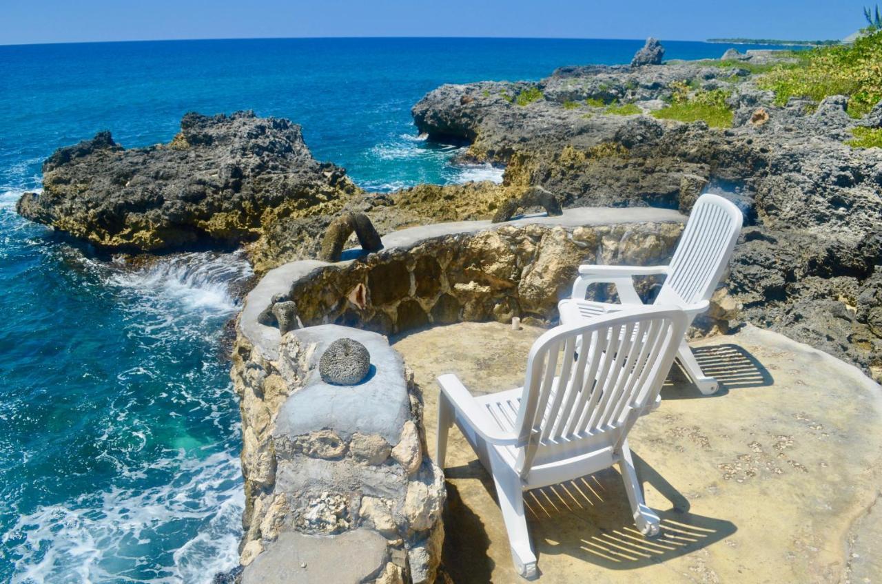 Coral Jamaica Negril