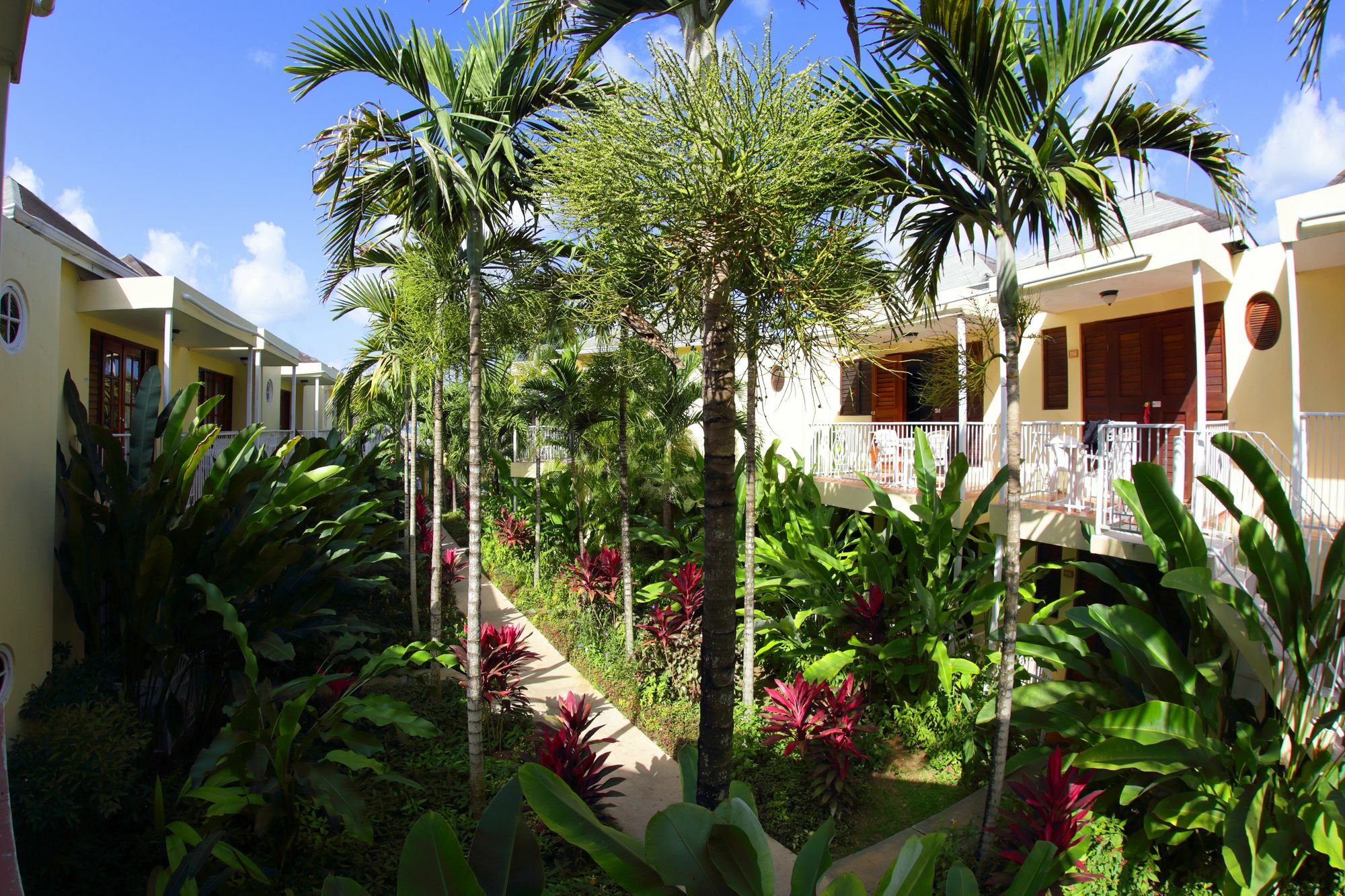 Palms Hotel 3*
