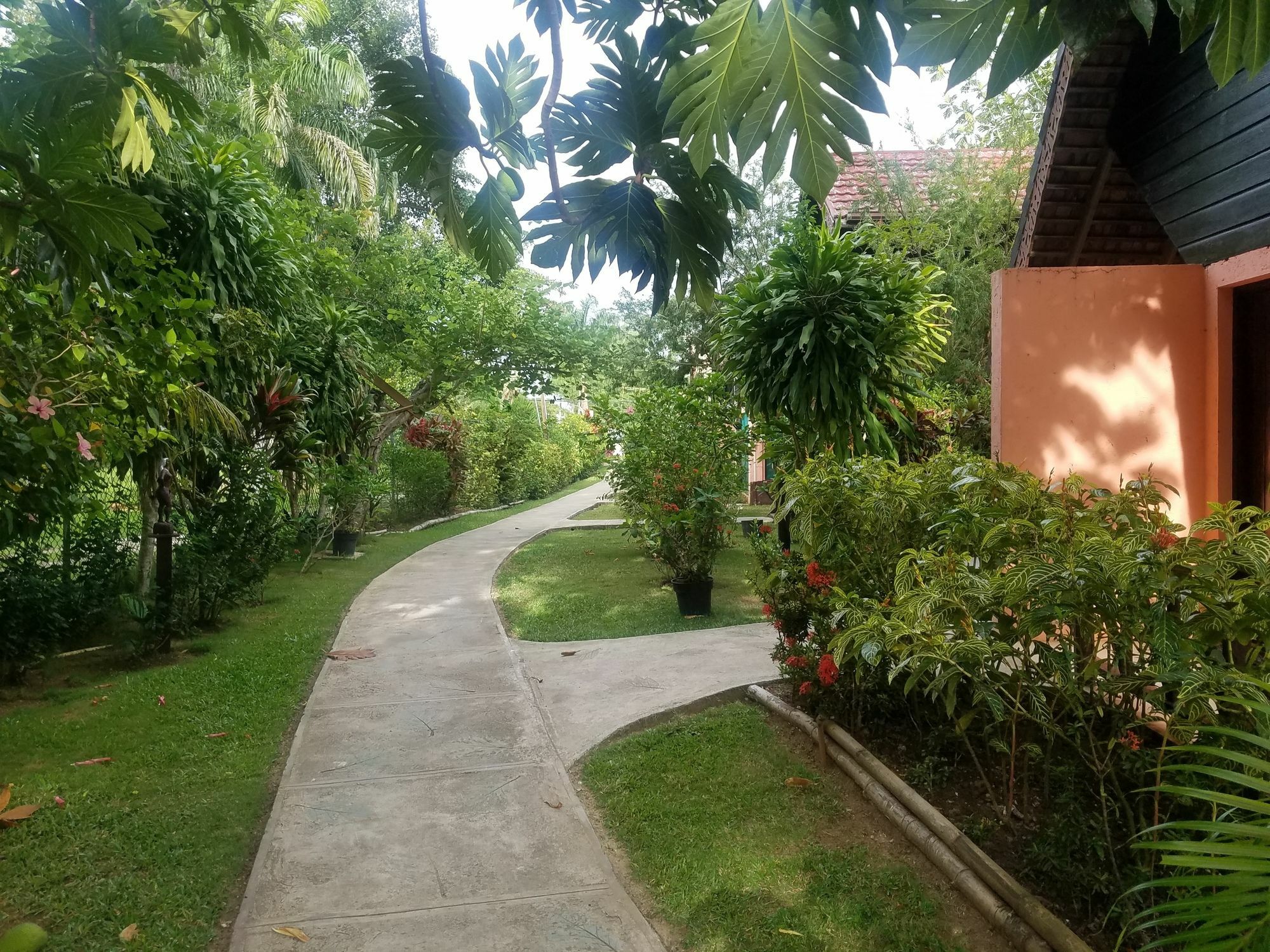 Hotel Firefly 4*