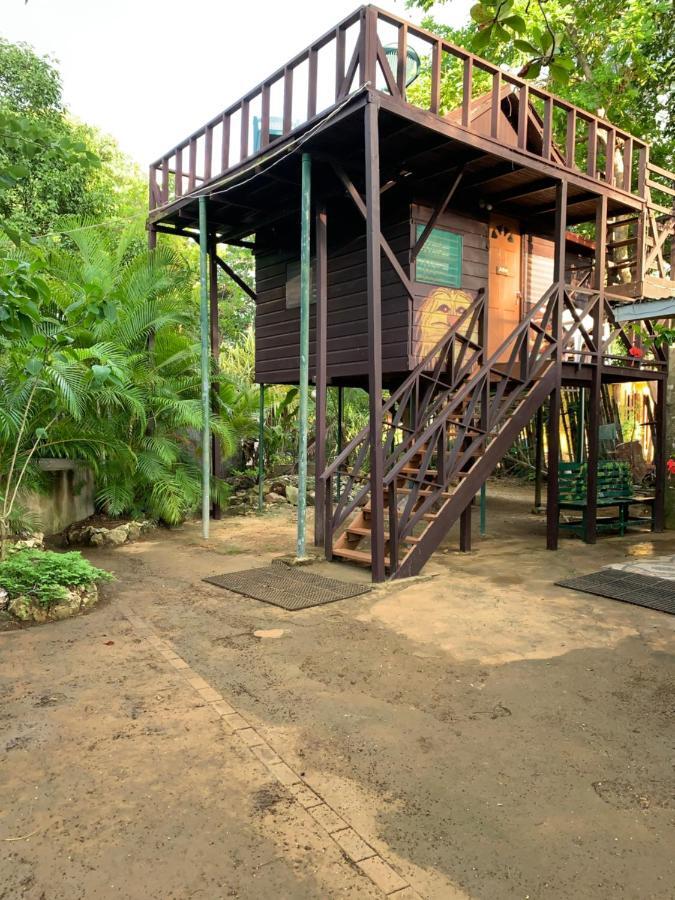 Guest house T-bird On The Cliffs 3*